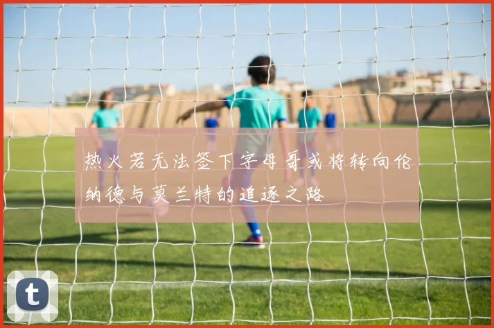 热火若无法签下字母哥或将转向伦纳德与莫兰特的追逐之路