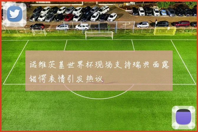 诺维茨基世界杯现场支持瑞典面露错愕表情引发热议