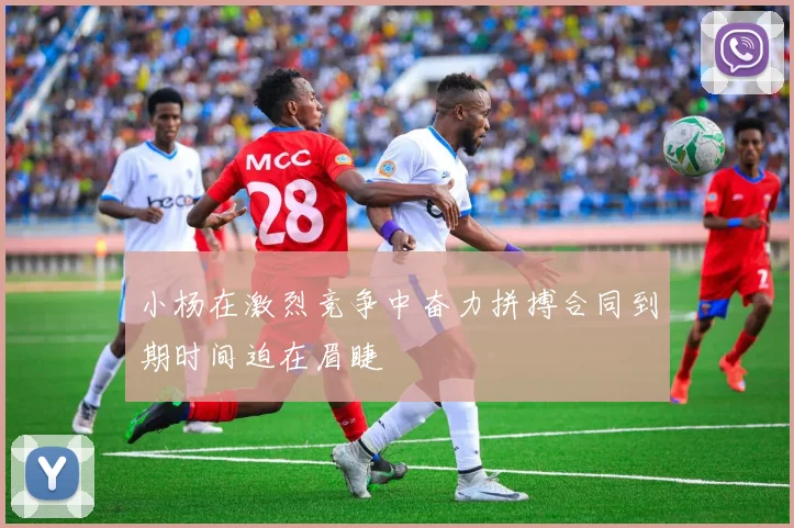 小杨在激烈竞争中奋力拼搏合同到期时间迫在眉睫